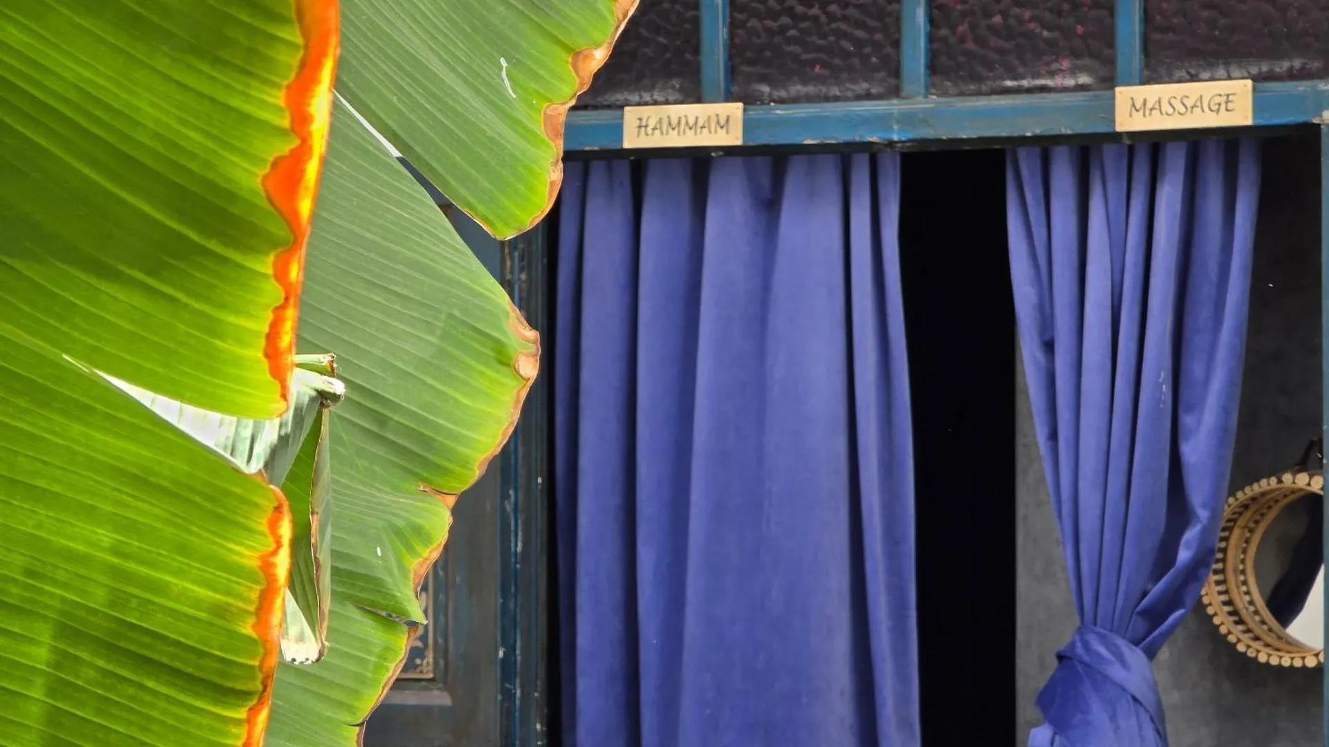 Riad Aloes & Spa (Adults Only) Marrakesh