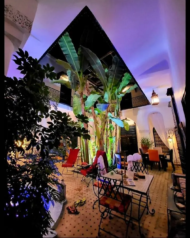 Riad Aloes & Spa (Adults Only) Marrakesh