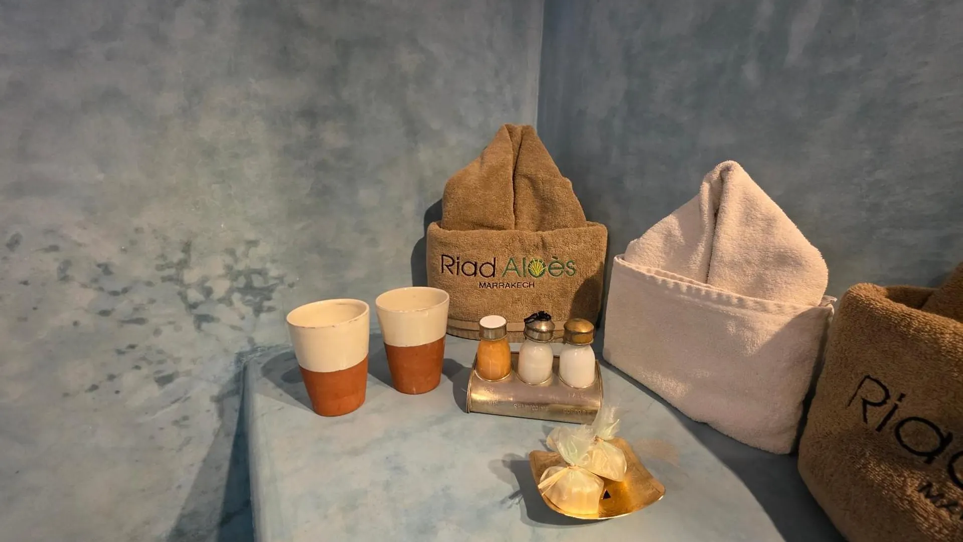 Riad Aloes & Spa (Adults Only) Marrakesh