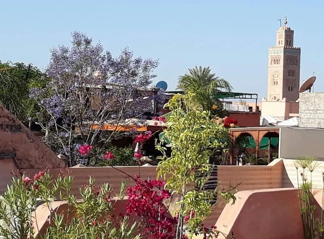 Riad Aloes & Spa (Adults Only) Marrakesh 4*,
