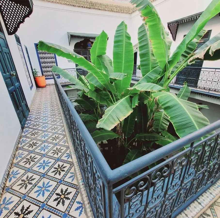 Riad Aloes & Spa (Adults Only) Marrakesh 4*,  Maroc