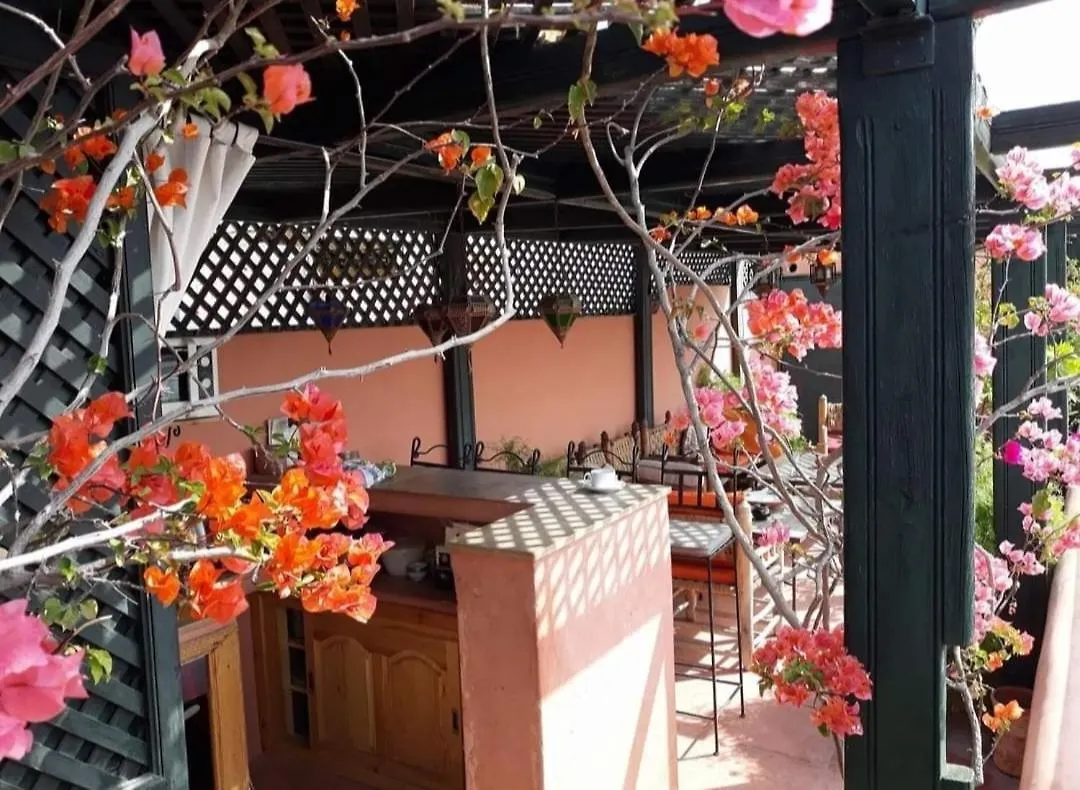 Riad Aloes & Spa (Adults Only) Marrakesh