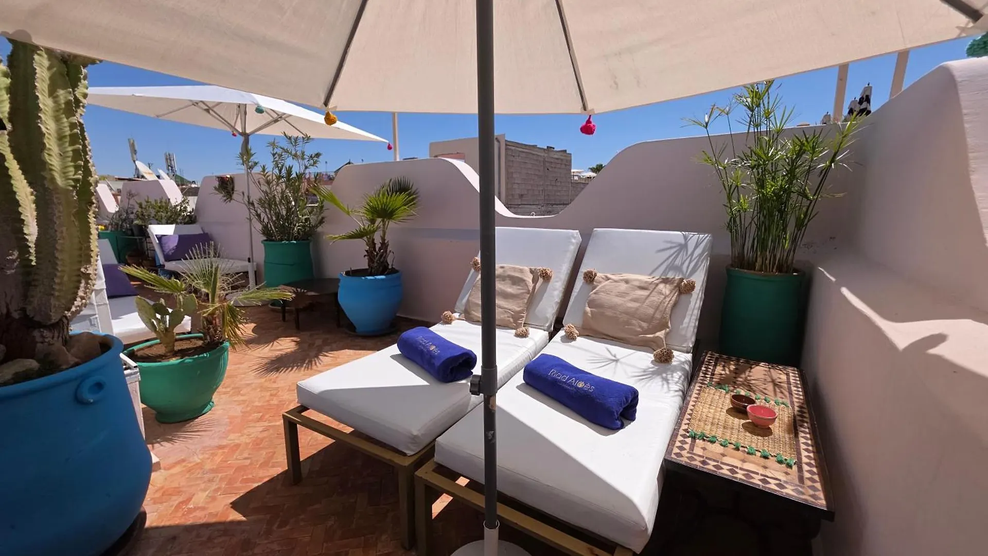 Riad Aloes & Spa (Adults Only) Marrakesh
