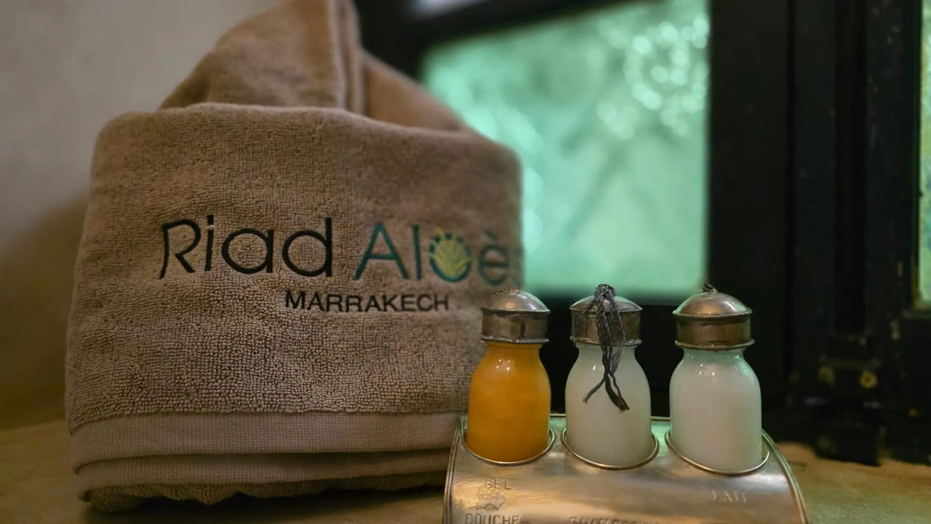 Riad Aloes & Spa (Adults Only) Marrakesh