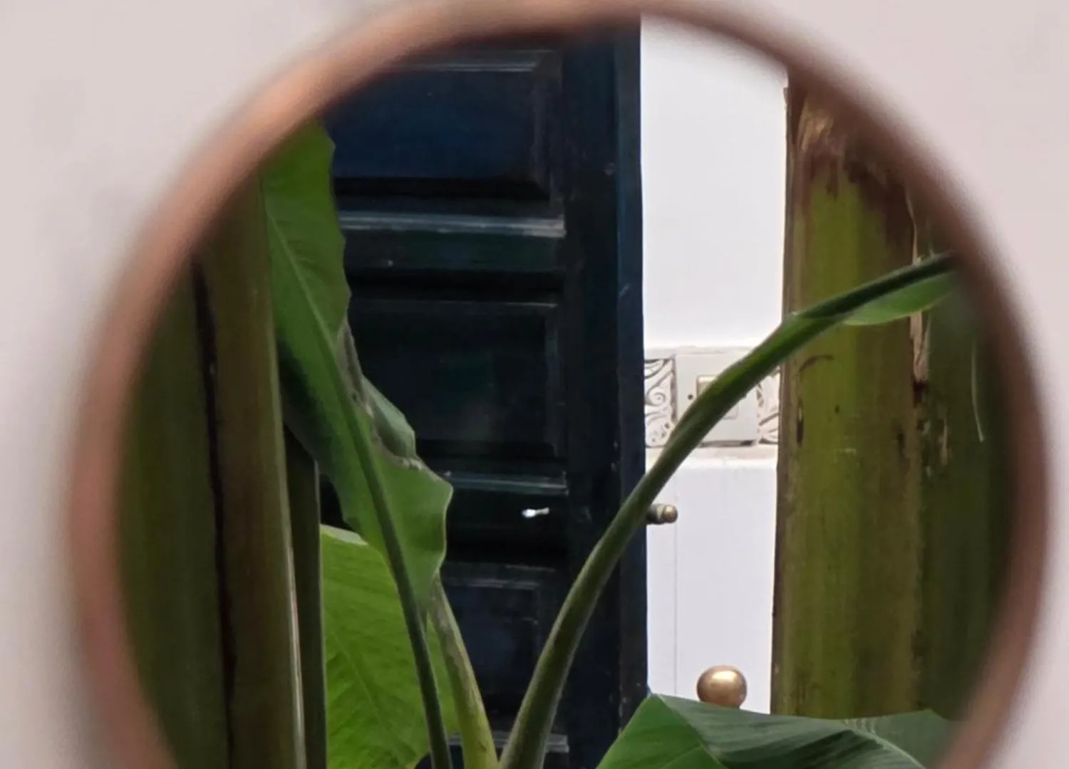 Riad Aloes & Spa (Adults Only) Marrakesh
