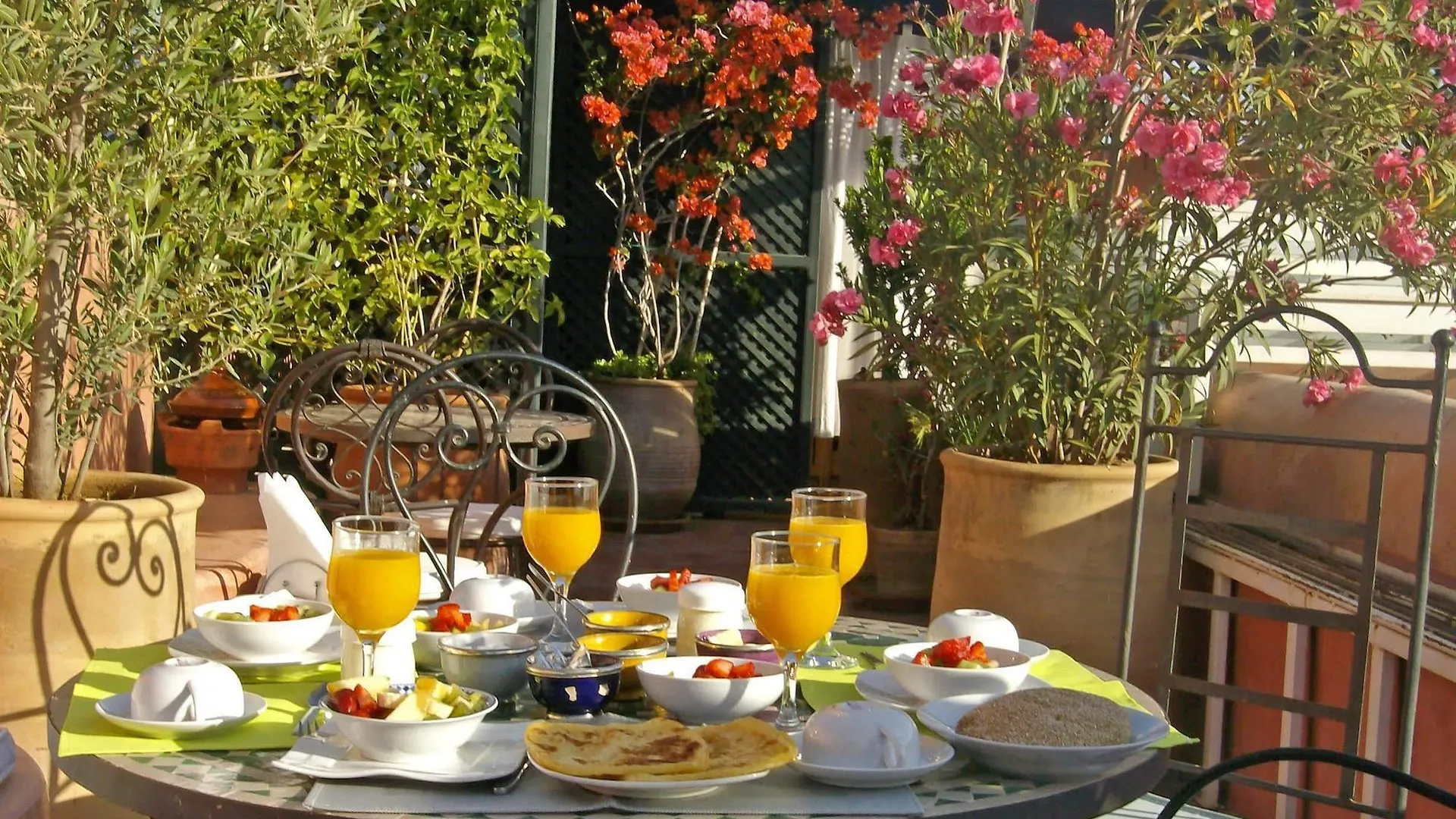 Riad Aloes & Spa (Adults Only) Marrakesh